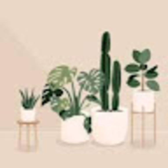 Meet your Posher, Marion - Picture 1 of 1